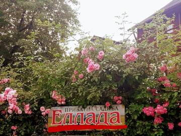 Фотографии Гостевой дом Sadyba Ellada г. Яремче (Украина) №1 Фото Гостевой дом Sadyba Ellada г. Яремче 1