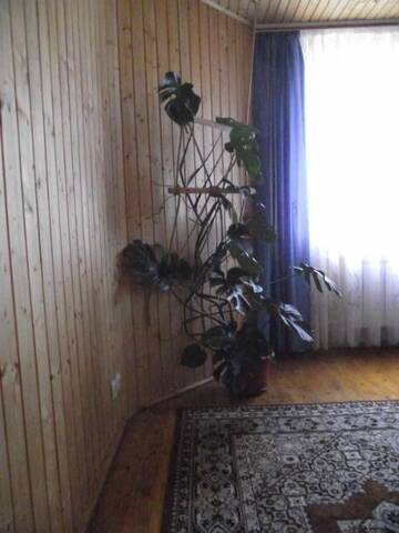 Фото номера Семейный номер Гостевой дом Guesthouse U Deda Viktora г. Яремче 10