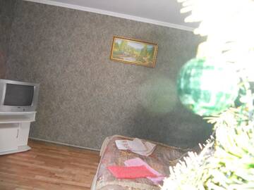 Фото номера Двухместный номер с 1 кроватью и видом на горы Гостевой дом Guest House Ivanna г. Яремче 6