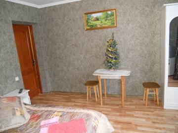 Фото номера Двухместный номер с 1 кроватью и видом на горы Гостевой дом Guest House Ivanna г. Яремче 4