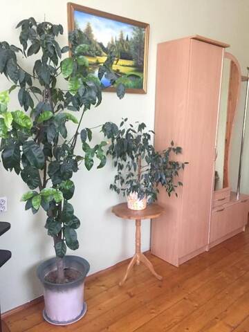 Фото номера Бюджетный трехместный номер Гостевой дом Sadyba Girske Povitria г. Яремче 12