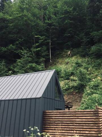 Фото номера Шале с одной спальней Шале BagriWood Lodges (Лоджі БагріВуд) г. Яремче 26