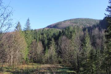Фото номера Дом для отпуска Дома для отпуска Котедж Mountain house г. Яремче 29