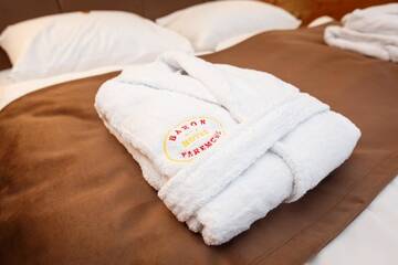 Фото номера Люкс Отель Baron SPA Hotel - Museum Yaremche г. Яремче 7